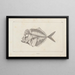 Recherches sur les poissons fossiles Pl001 - Louis Agassiz — framed artwork on a wall
