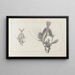 Recherches sur les poissons fossiles Pl002 - Louis Agassiz — framed artwork on a wall