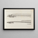Recherches sur les poissons fossiles Pl004 - Louis Agassiz — framed artwork on a wall
