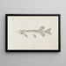 Recherches sur les poissons fossiles Pl010 - Louis Agassiz — framed artwork on a wall