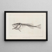 Recherches sur les Poissons Fossiles Pl013 - Louis Agassiz — framed artwork on a wall