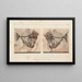 Recherches sur les poissons fossiles, pl. 015 - Louis Agassiz — framed artwork on a wall