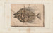 Recherches sur les poissons fossiles Pl017 - Louis Agassiz — artwork view