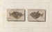 Recherches sur les poissons fossiles Pl018 - Louis Agassiz — artwork view