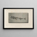 Recherches sur les poissons fossiles Pl033 - Louis Agassiz — framed artwork on a wall