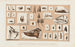 Recherches sur les poissons fossiles Pl043 - Louis Agassiz — artwork view