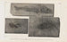 Recherches sur les poissons fossiles, Pl. 046 - Louis Agassiz — artwork view