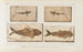 Recherches sur les poissons fossiles Pl059 - Louis Agassiz — artwork view