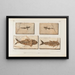 Recherches sur les poissons fossiles Pl059 - Louis Agassiz — framed artwork on a wall