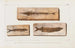 Recherches sur les poissons fossiles Pl060 - Louis Agassiz — artwork view