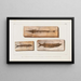 Recherches sur les poissons fossiles Pl060 - Louis Agassiz — framed artwork on a wall