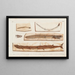 Recherches sur les poissons fossiles Pl065 - Louis Agassiz — framed artwork on a wall