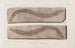 Recherches sur les poissons fossiles Pl071 - Louis Agassiz — artwork view
