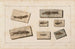 Recherches sur les poissons fossiles, Pl. 078 - Louis Agassiz — artwork view