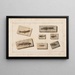 Recherches sur les poissons fossiles, Pl. 078 - Louis Agassiz — framed artwork on a wall