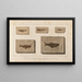Recherches sur les poissons fossiles Pl081 - Louis Agassiz — framed artwork on a wall