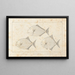 Recherches sur les poissons fossiles Pl099 - Louis Agassiz — framed artwork on a wall