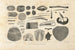 Recherches sur les poissons fossiles Pl100 - Louis Agassiz — artwork view