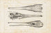 Recherches sur les poissons fossiles Pl105 - Louis Agassiz — artwork view