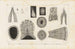 Recherches sur les poissons fossiles Pl113 - Louis Agassiz — artwork view