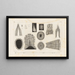Recherches sur les poissons fossiles Pl113 - Louis Agassiz — framed artwork on a wall