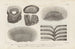 Recherches sur les poissons fossiles Pl114 - Louis Agassiz — artwork view
