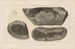Recherches sur les poissons fossiles Pl120 - Louis Agassiz — artwork view