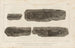 Recherches sur les poissons fossiles Pl121 - Louis Agassiz — artwork view