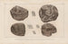 Recherches sur les poissons fossiles Pl129 - Louis Agassiz — artwork view