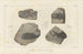Recherches sur les poissons fossiles Pl130 - Louis Agassiz — artwork view