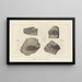 Recherches sur les poissons fossiles Pl130 - Louis Agassiz — framed artwork on a wall