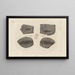 Recherches sur les poissons fossiles Pl134 - Louis Agassiz — framed artwork on a wall