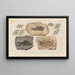 Recherches sur les poissons fossiles Pl135 - Louis Agassiz — framed artwork on a wall