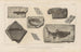 Recherches sur les poissons fossiles Pl136 - Louis Agassiz — artwork view