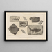 Recherches sur les poissons fossiles Pl136 - Louis Agassiz — framed artwork on a wall