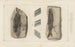 Recherches sur les poissons fossiles Pl137 - Louis Agassiz — artwork view