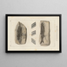 Recherches sur les poissons fossiles Pl137 - Louis Agassiz — framed artwork on a wall