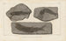 Recherches sur les poissons fossiles Pl. 139 - Louis Agassiz — artwork view