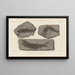Recherches sur les poissons fossiles Pl. 139 - Louis Agassiz — framed artwork on a wall