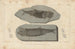 Recherches sur les poissons fossiles Pl. 140 - Louis Agassiz — artwork view
