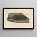 Recherches sur les poissons fossiles Pl141 - Louis Agassiz — framed artwork on a wall