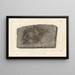 Recherches sur les poissons fossiles Pl147 - Louis Agassiz — framed artwork on a wall