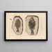 Recherches sur les poissons fossiles Pl151 - Louis Agassiz — framed artwork on a wall