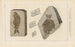 Recherches sur les poissons fossiles Pl152 - Louis Agassiz — artwork view