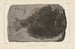 Recherches sur les poissons fossiles Pl159 - Louis Agassiz — artwork view