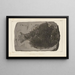 Recherches sur les poissons fossiles Pl159 - Louis Agassiz — framed artwork on a wall
