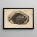Recherches sur les poissons fossiles Pl161 - Louis Agassiz — framed artwork on a wall
