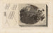 Recherches sur les poissons fossiles Pl164 - Louis Agassiz — artwork view