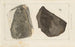 Recherches sur les poissons fossiles Pl170 - Louis Agassiz — artwork view