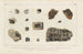 Recherches sur les poissons fossiles, Pl177 - Louis Agassiz — artwork view